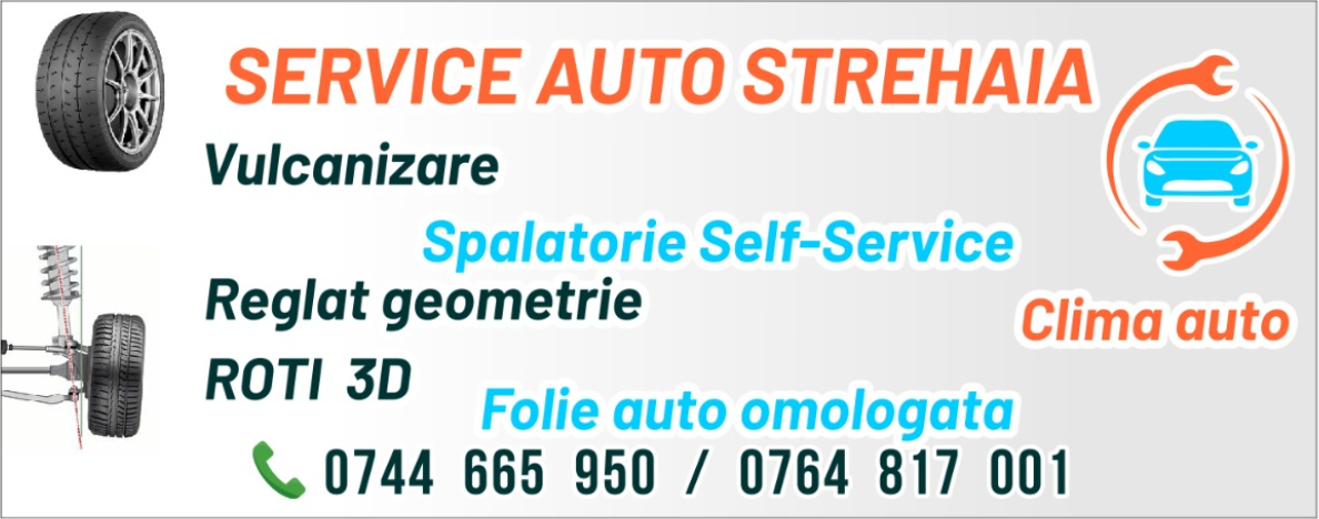Service Auto Strehaia